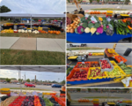 FARMERS-MARKET-2024final2